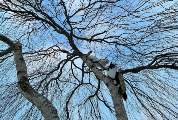 Mit dem iPhone gesehen. Auf 500px entdeckt.